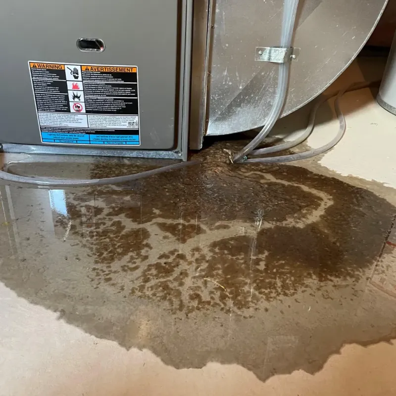 Appliance Leak Cleanup in Winchester, NV